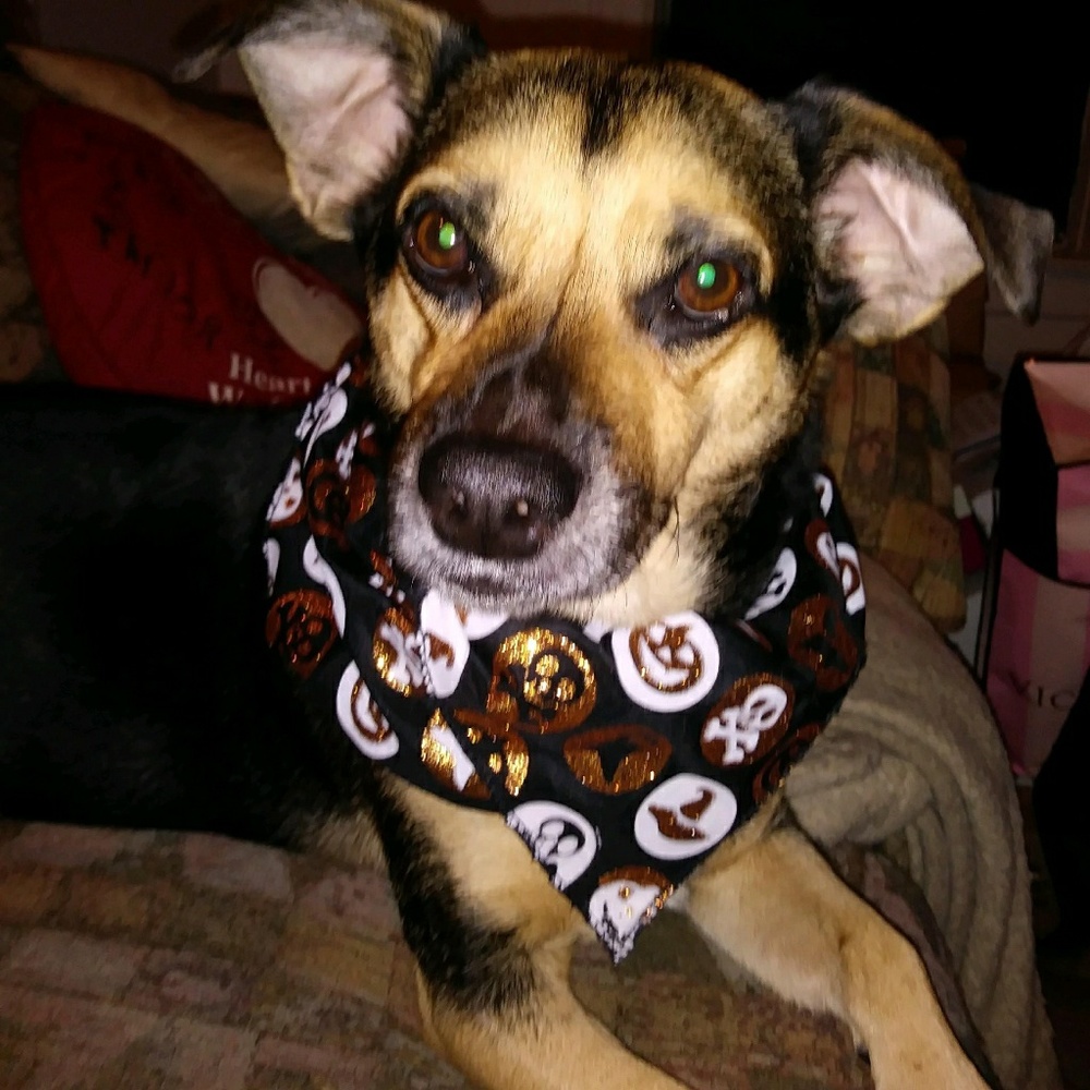 Meet your Posher, Andrea